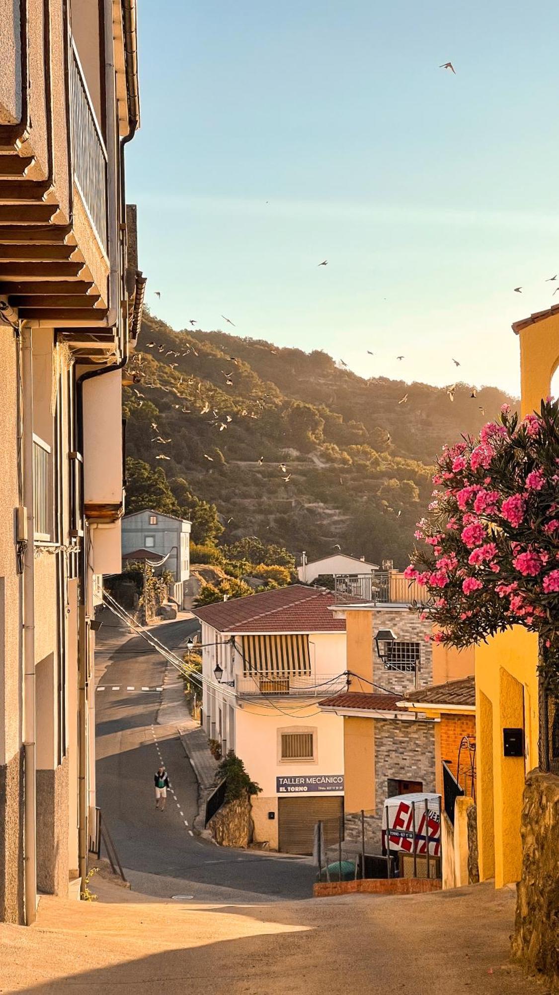 Villa Del Jerte El Torno  Exteriér fotografie